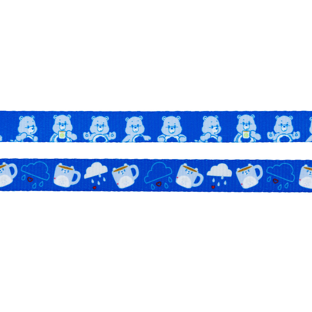 Dog Collar Three Piece Bundle - Care Bears™ Grumpy Bear