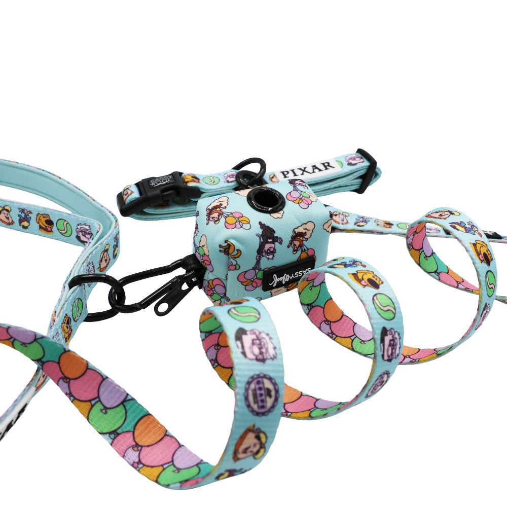 Dog Collar Three Piece Bundle - Disney and Pixar's Up