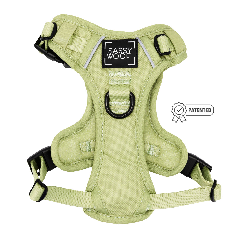 Dog Four Piece Bundle - Matcha