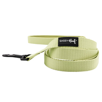 Dog Four Piece Bundle - Matcha