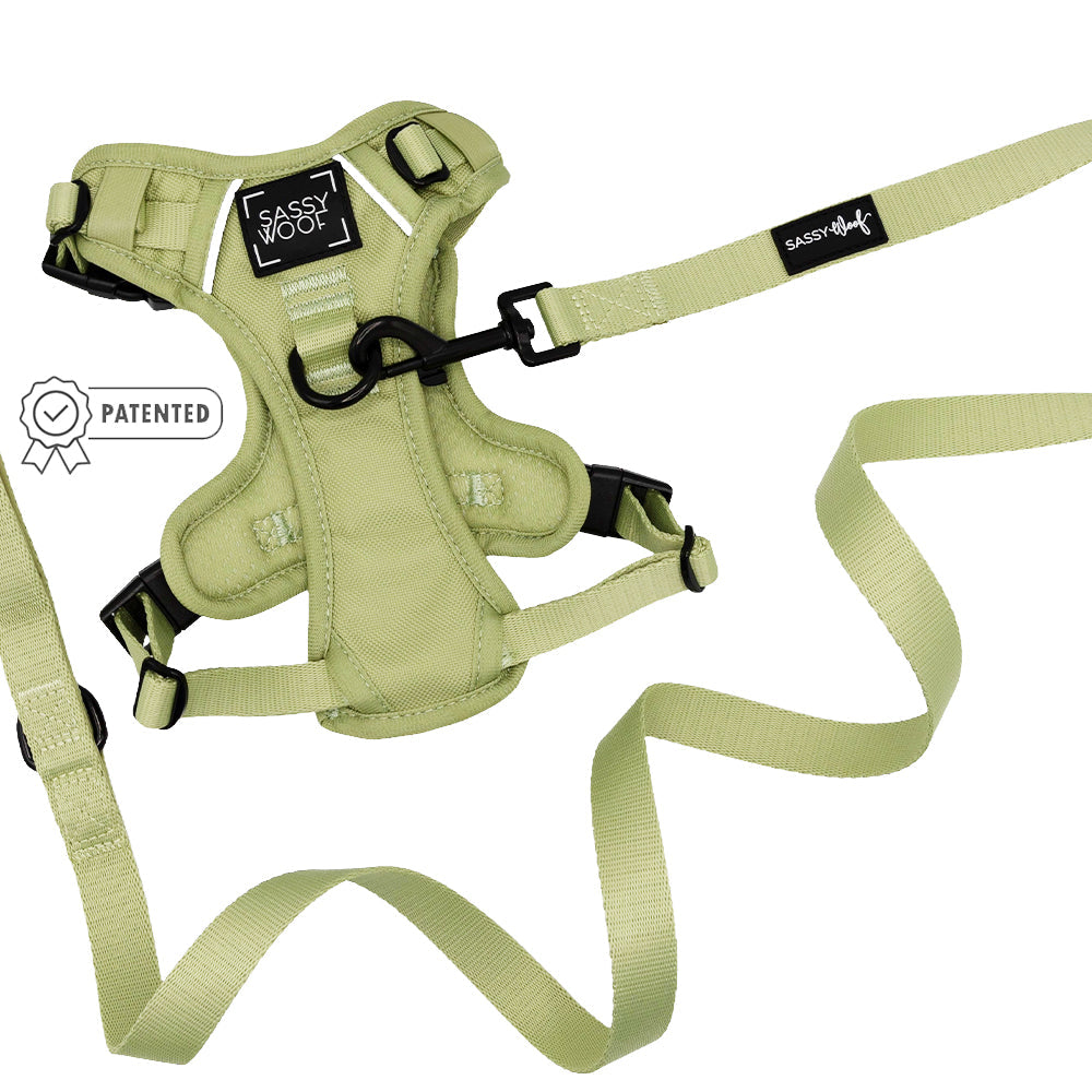 Dog Two Piece Bundle - Matcha