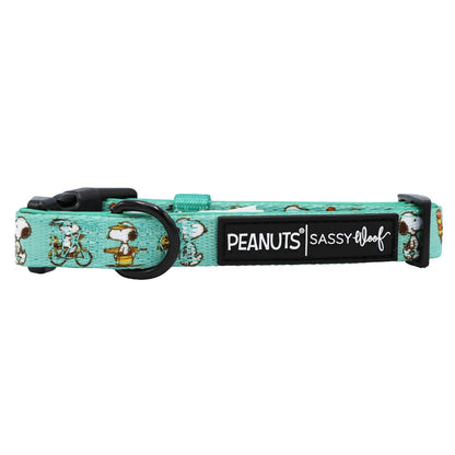 Dog Collar - Peanuts™ Road Tripping