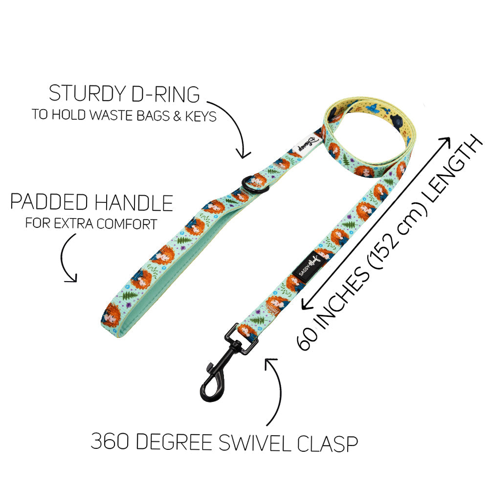 Dog Two Piece Bundle - Disney's Merida