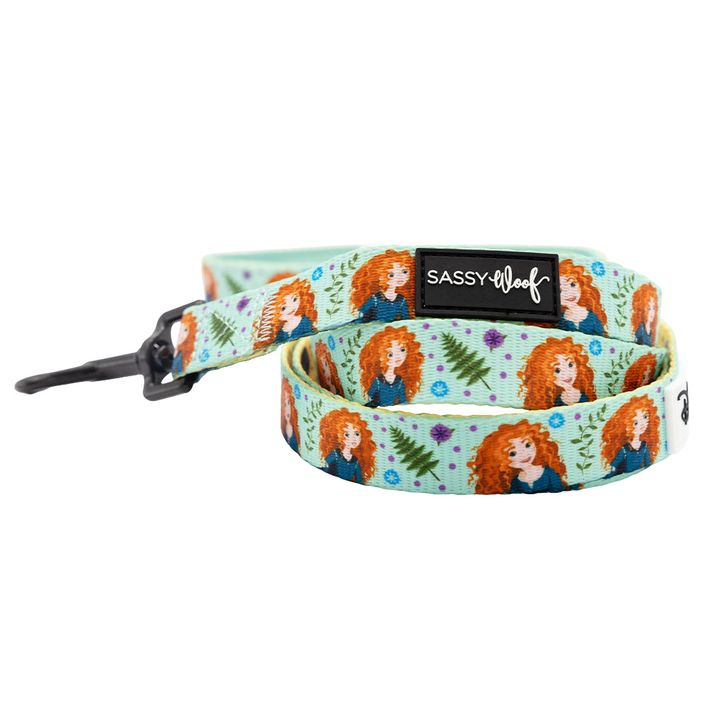 Dog Two Piece Bundle - Disney's Merida