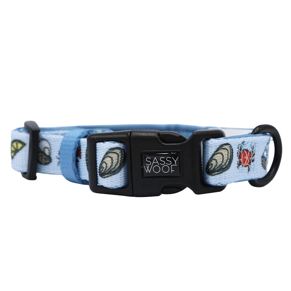 Dog Three Piece Bundle - Coastal Cuties