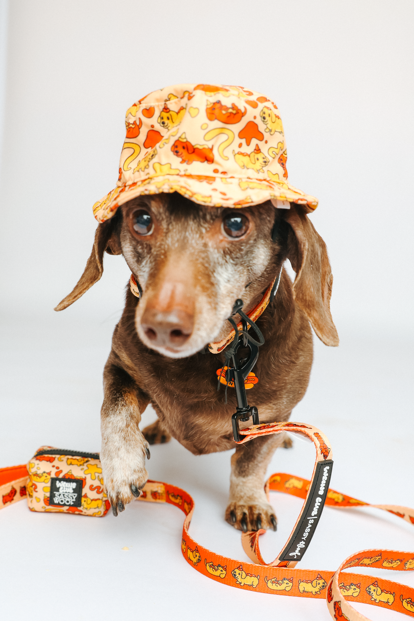 Dog Leash - Hot Dawg