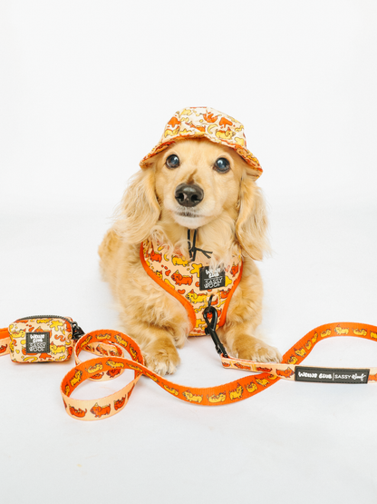 Dog Leash - Hot Dawg
