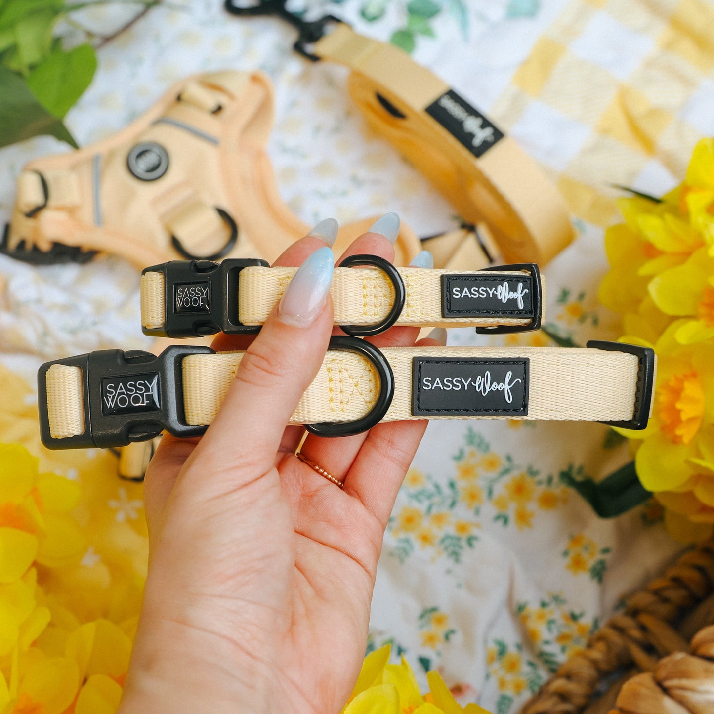 Dog Three Piece Bundle - Daffodil
