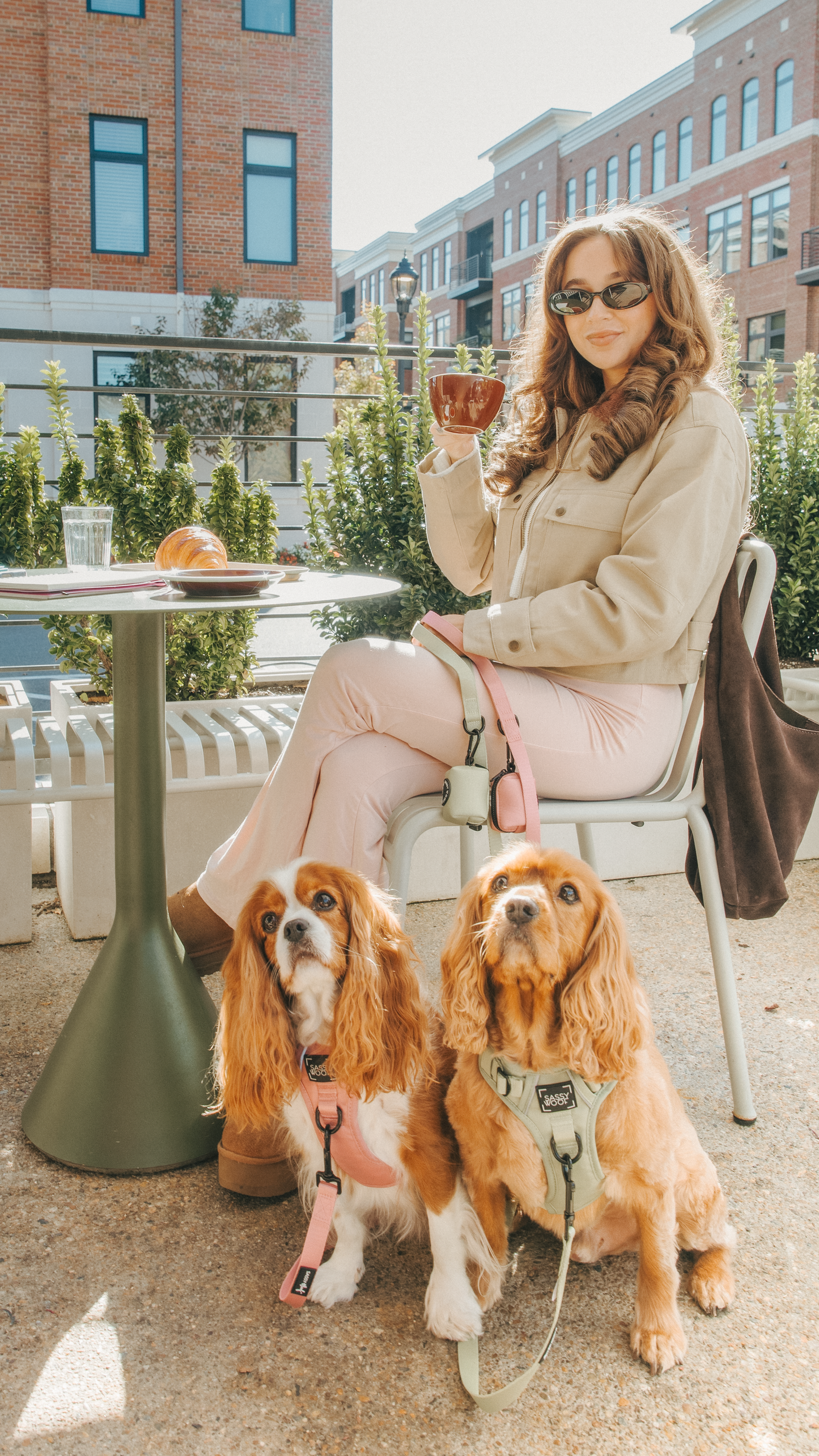 Dog Four Piece Bundle - Matcha