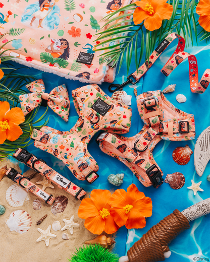 Harness Three Piece Bundle - Disney's Moana