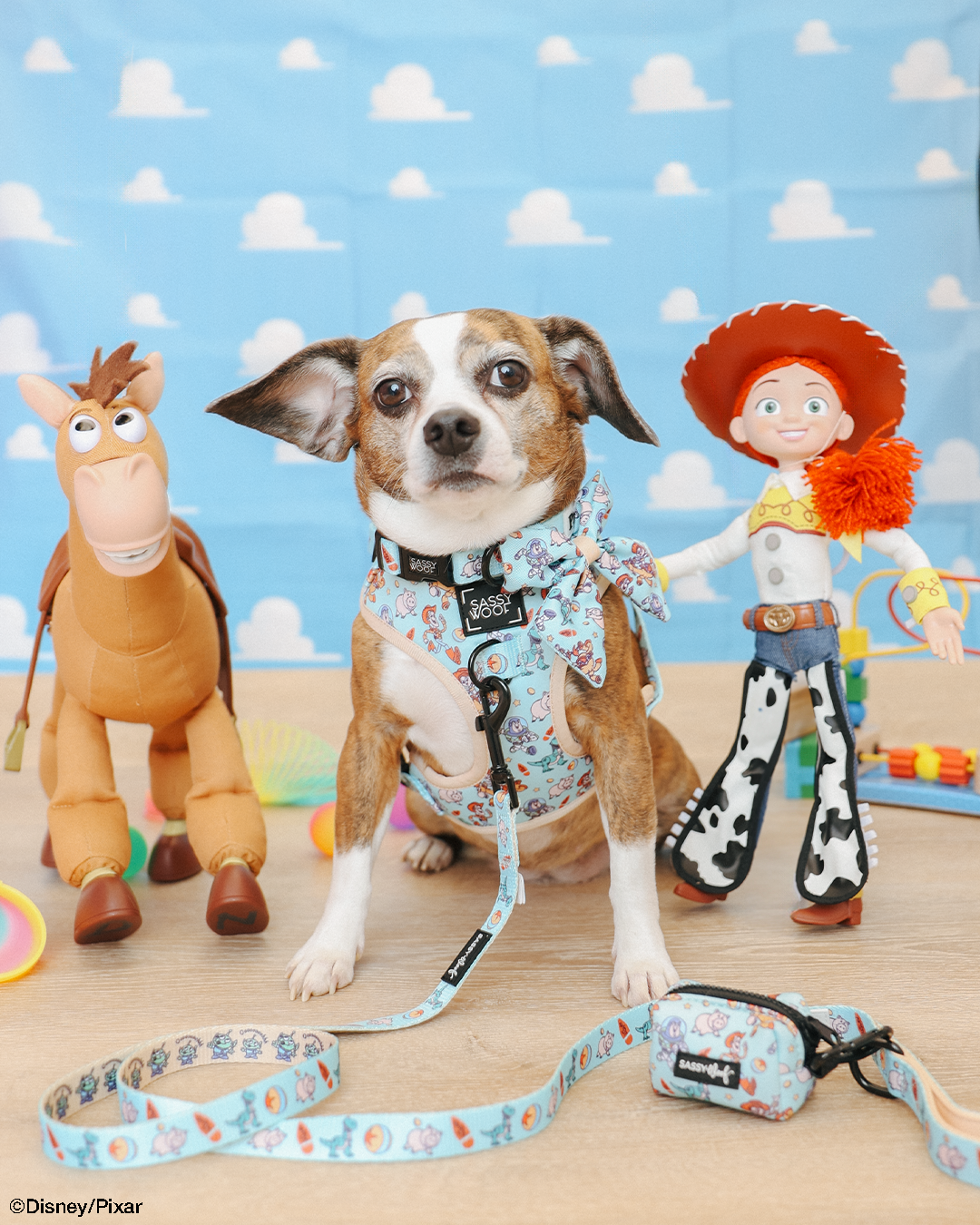 Dog Sailor Bow - Disney and Pixar's Toy Story