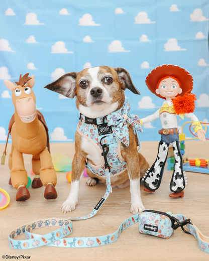 Dog Sailor Bow - Disney and Pixar's Toy Story
