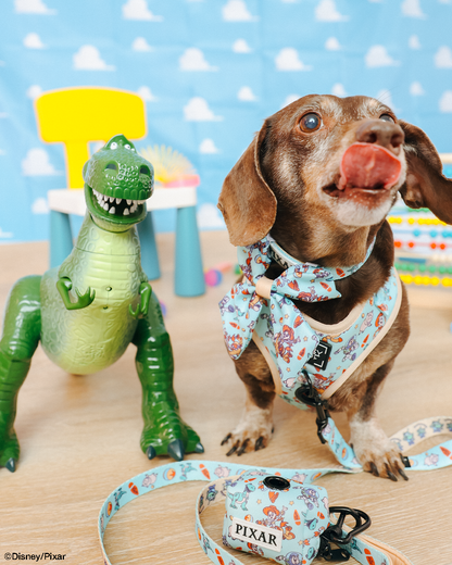 Dog Waste Bag Holder - Disney and Pixar's Toy Story
