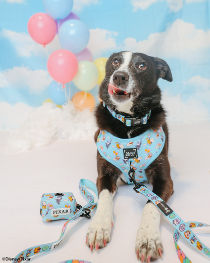 Dog Adjustable Harness - Disney and Pixar's Up