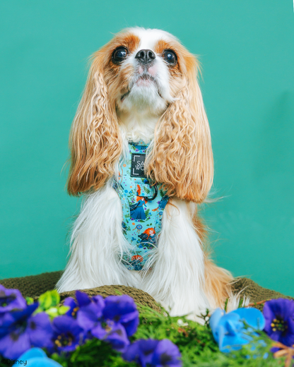 Dog Two Piece Bundle - Disney's Merida