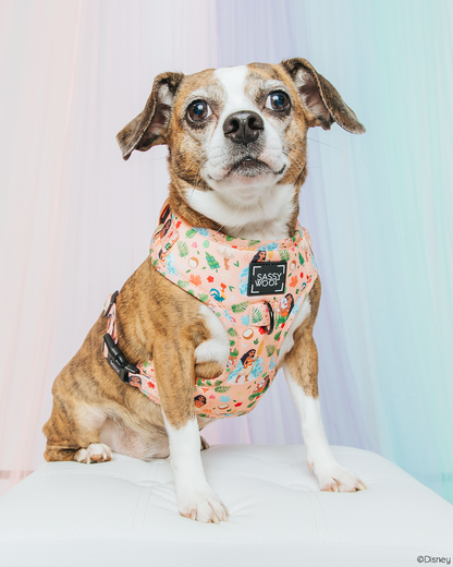 Harness Three Piece Bundle - Disney's Moana