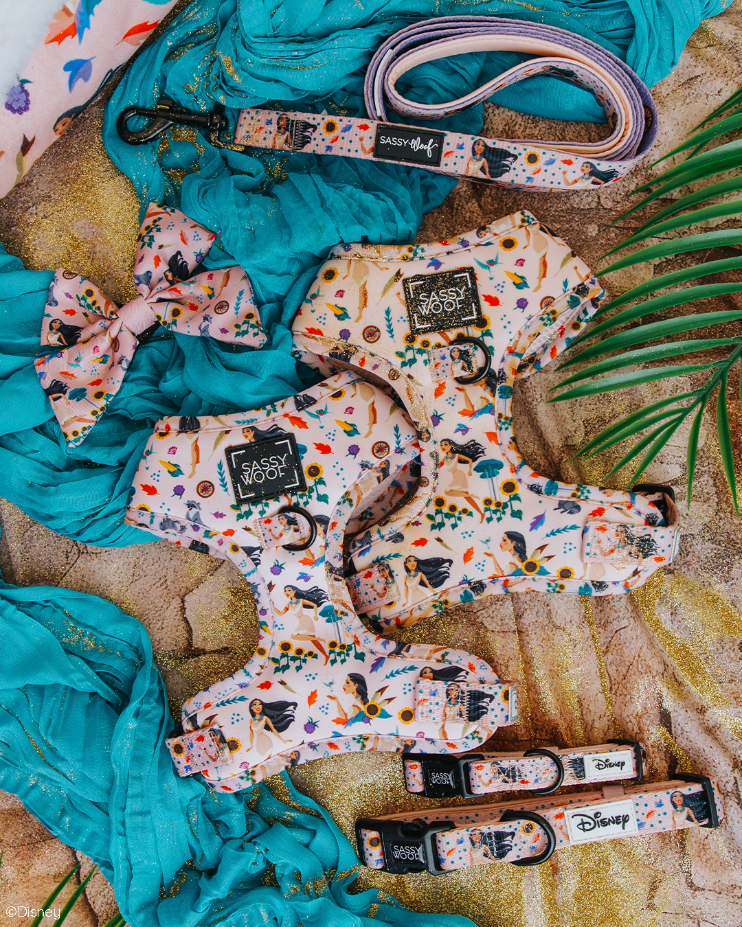 Dog Leash - Disney's Pocahontas