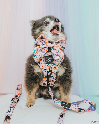 Harness Three Piece Bundle - Disney's Pocahontas
