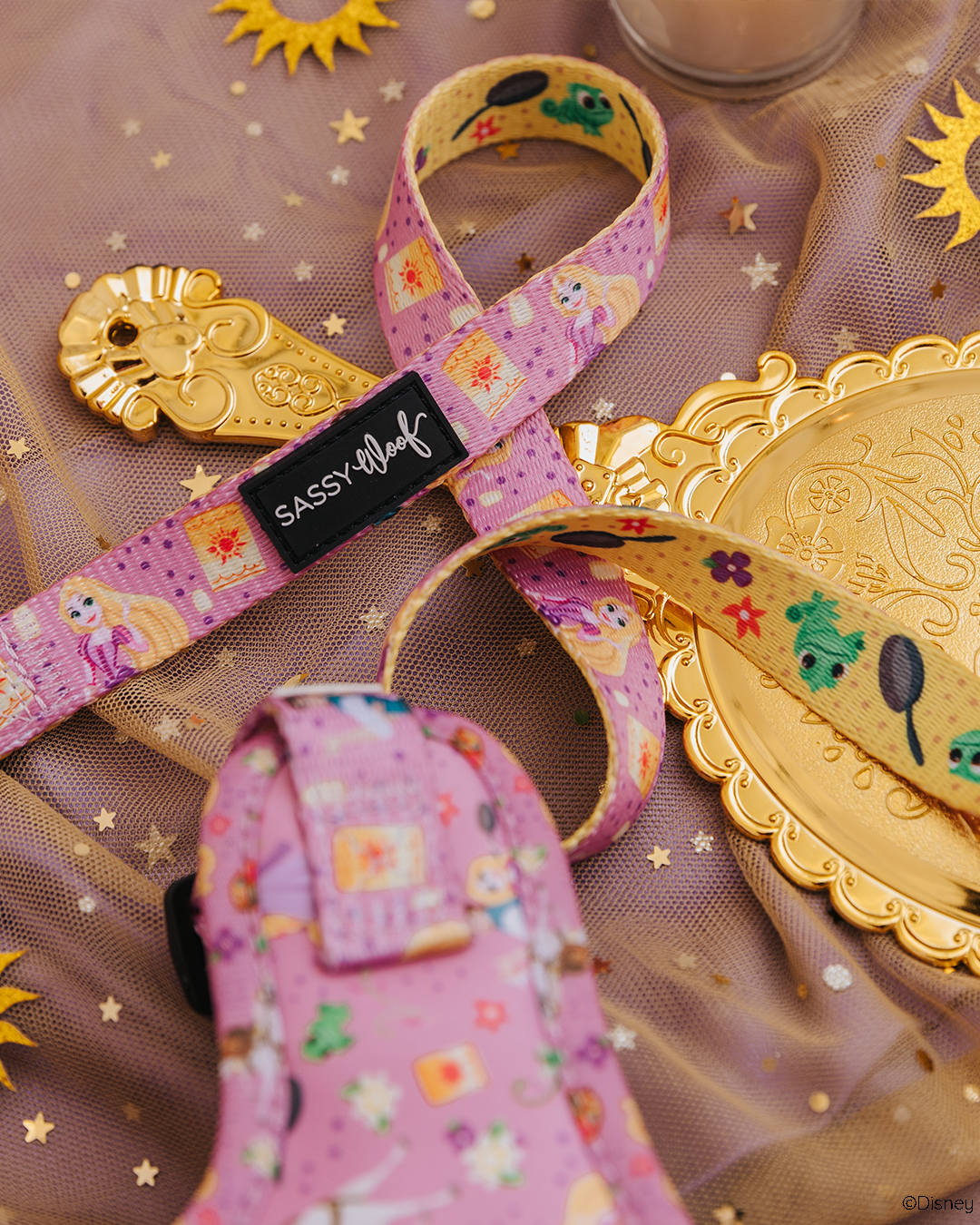 Dog Leash - Disney's Rapunzel