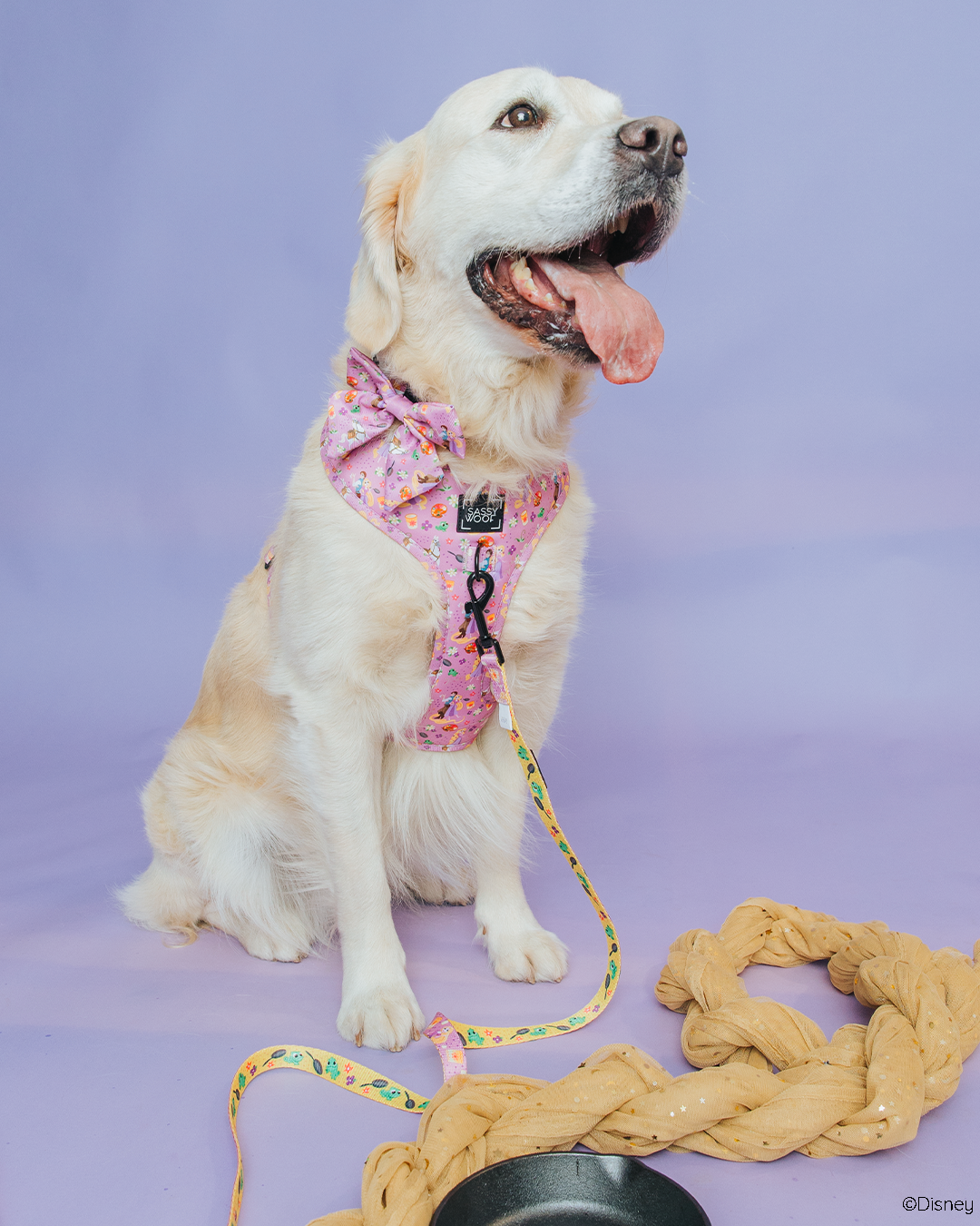 Dog Leash - Disney's Rapunzel