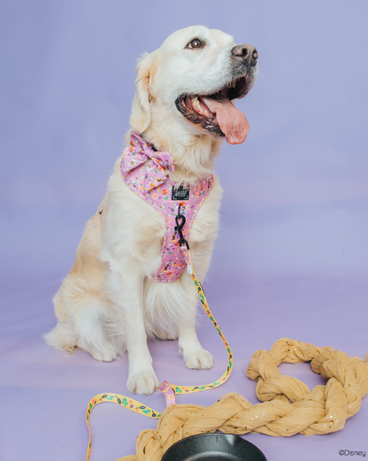 Dog Adjustable Harness - Disney's Rapunzel