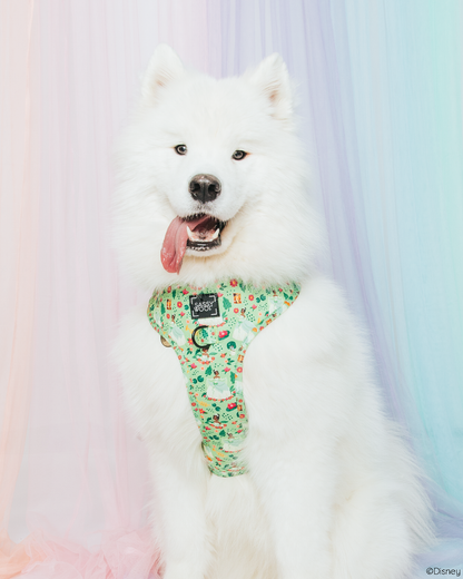 Dog Adjustable Harness - Disney's Tiana