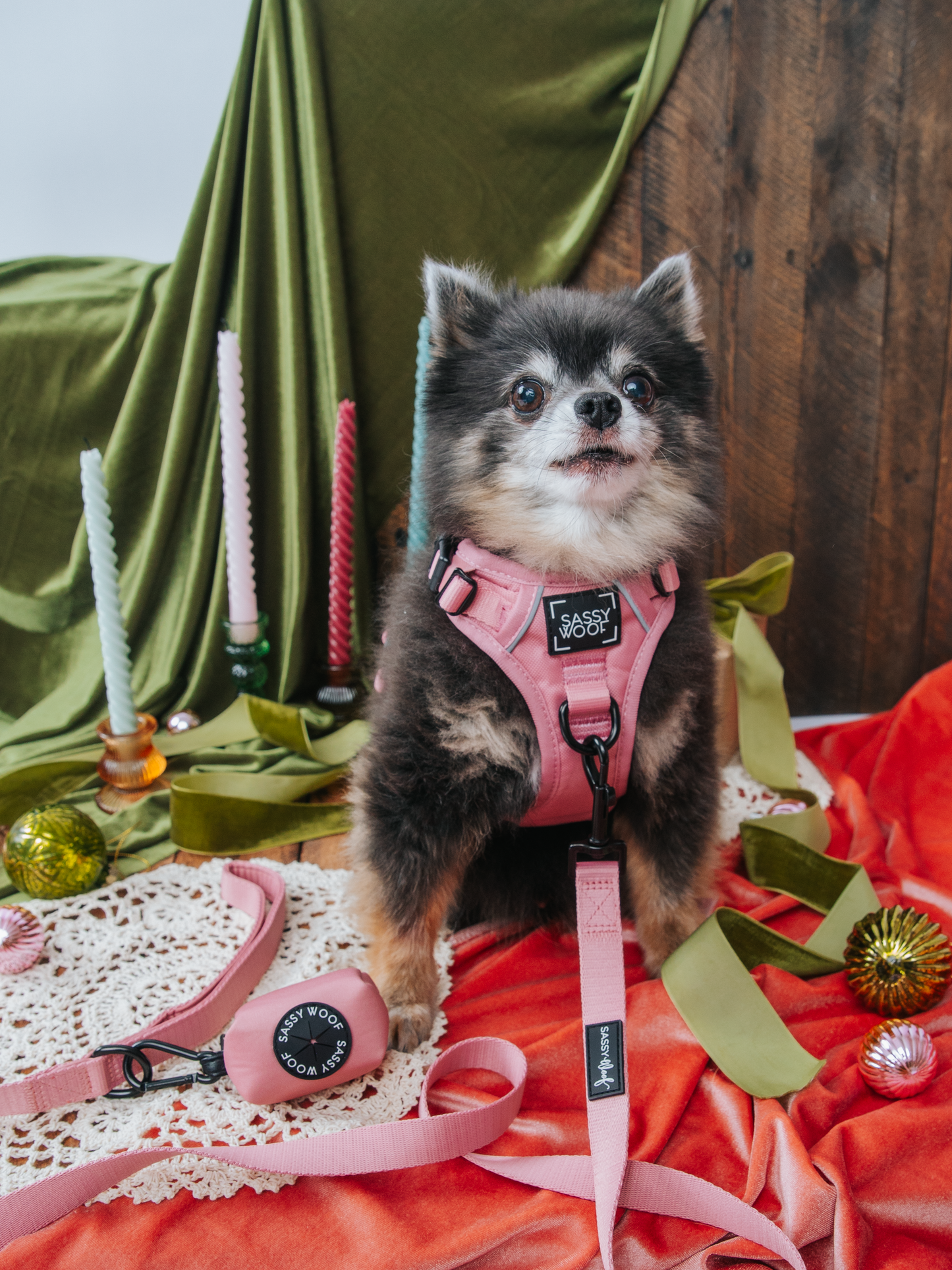 Dog Three Piece Bundle - Dusty Rose