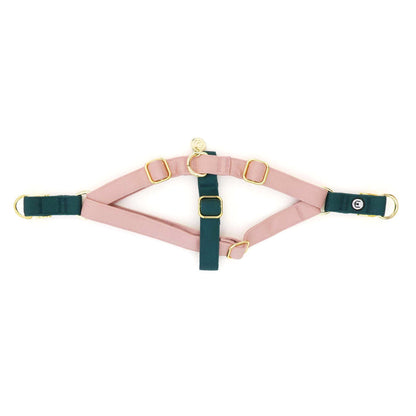 Eat Play Wag Duo-Clip Harnesses