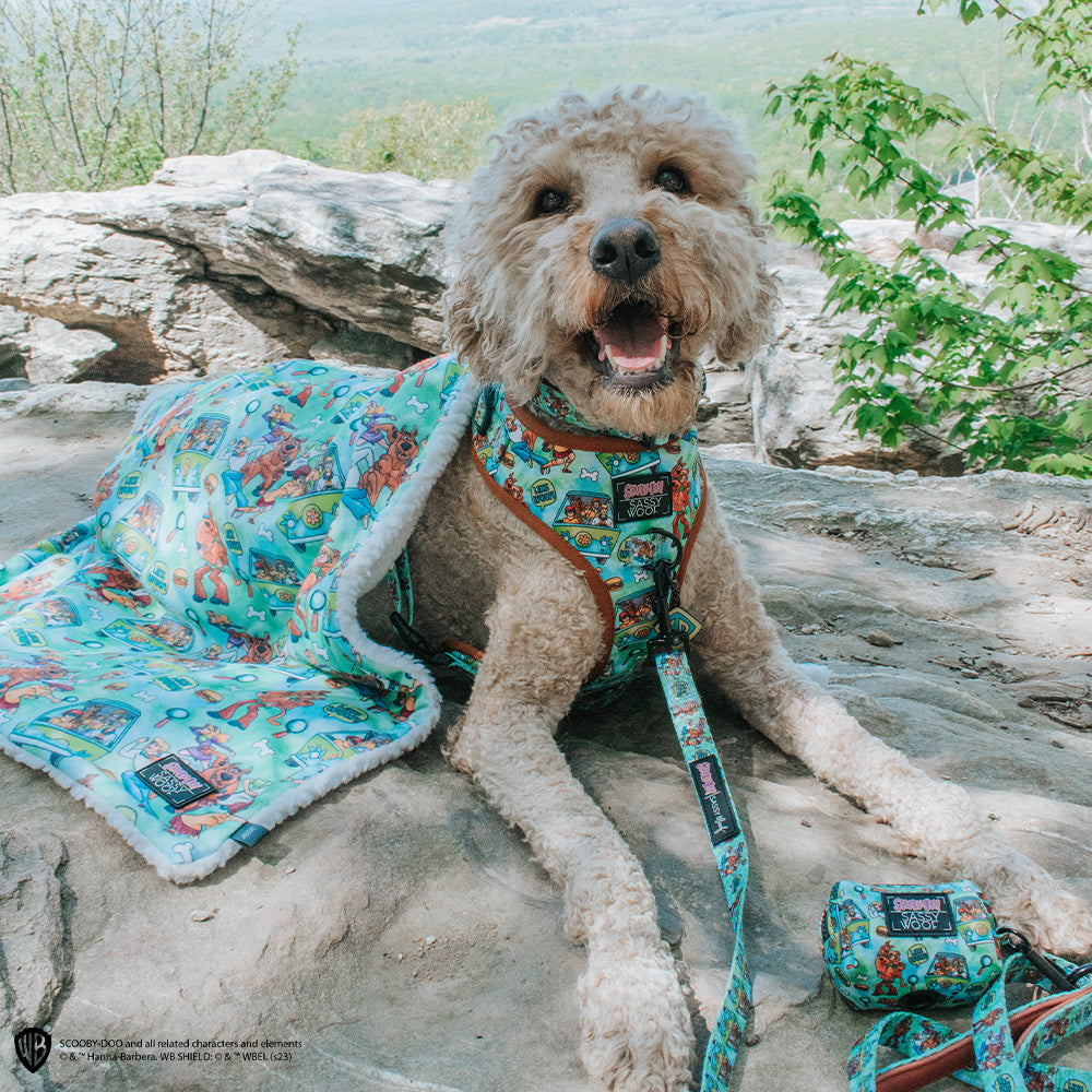 Pet Blanket - Scooby-Doo™