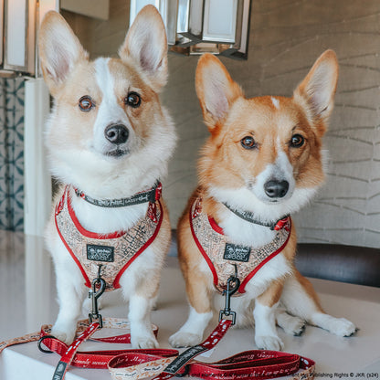 Dog Adjustable Harness - Harry Potter™ Marauder's Map™