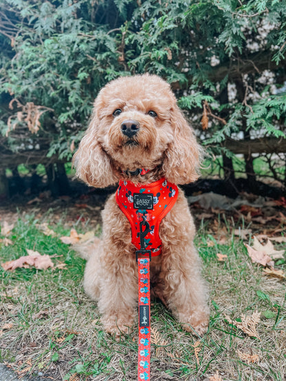 Harness Three Piece Bundle - Disney Holiday Collection