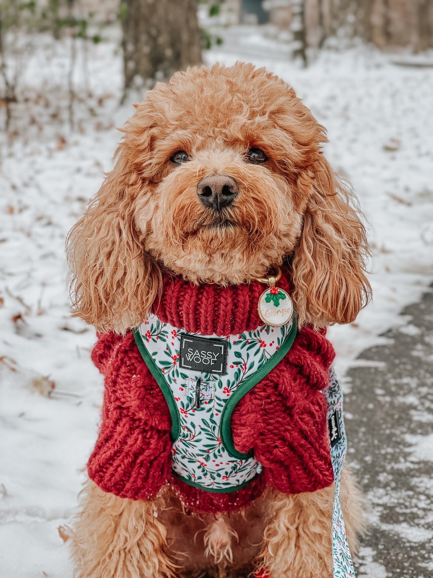 Pet Cable Knit Sweater - Red