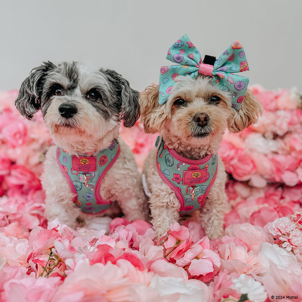 Dog Sailor Bow - Polly Pocket™