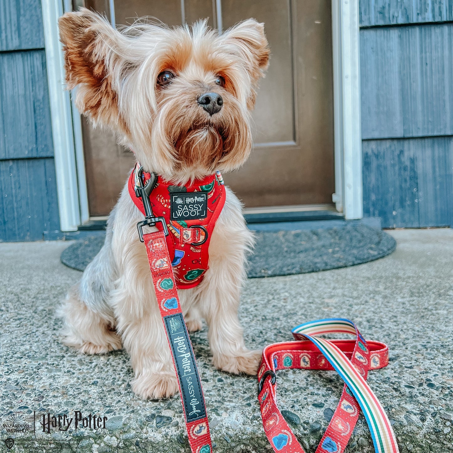 Dog Two Piece Bundle -  Harry Potter™