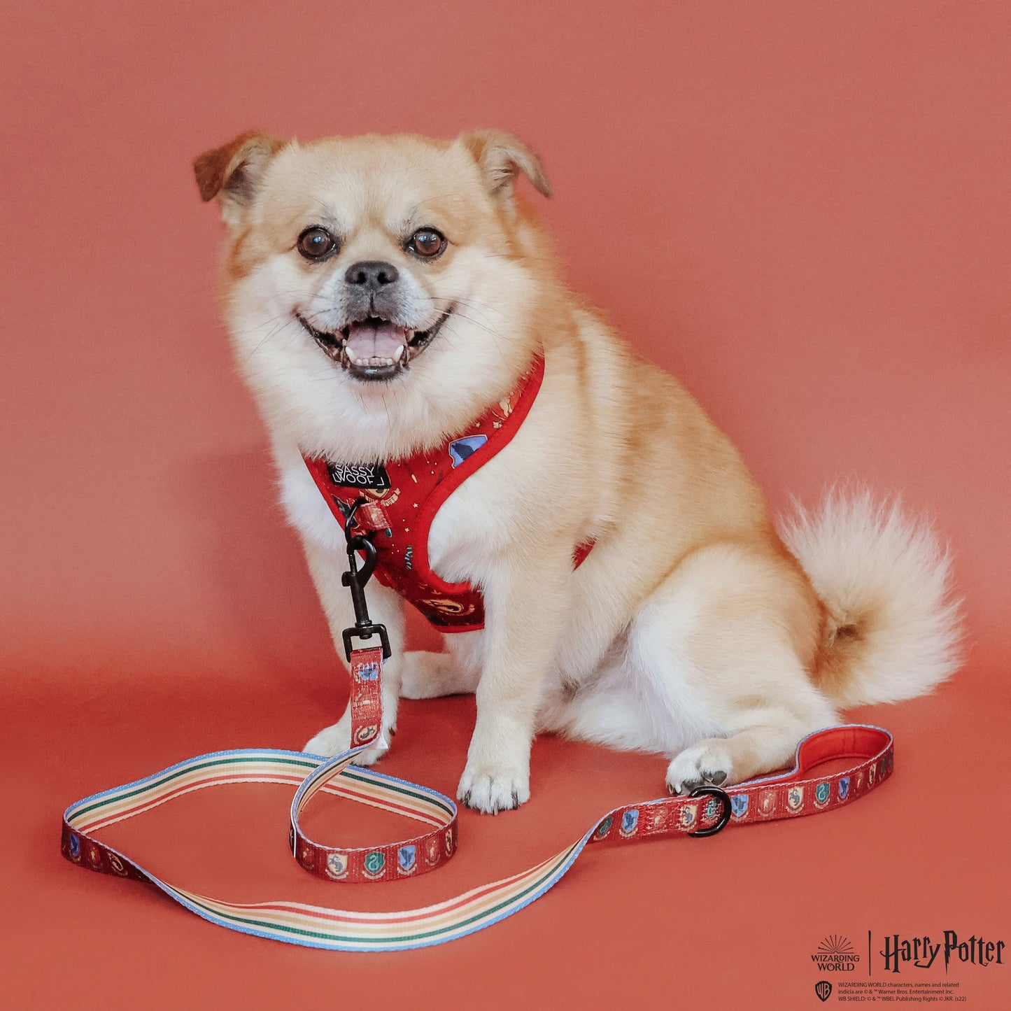 Dog Two Piece Bundle -  Harry Potter™