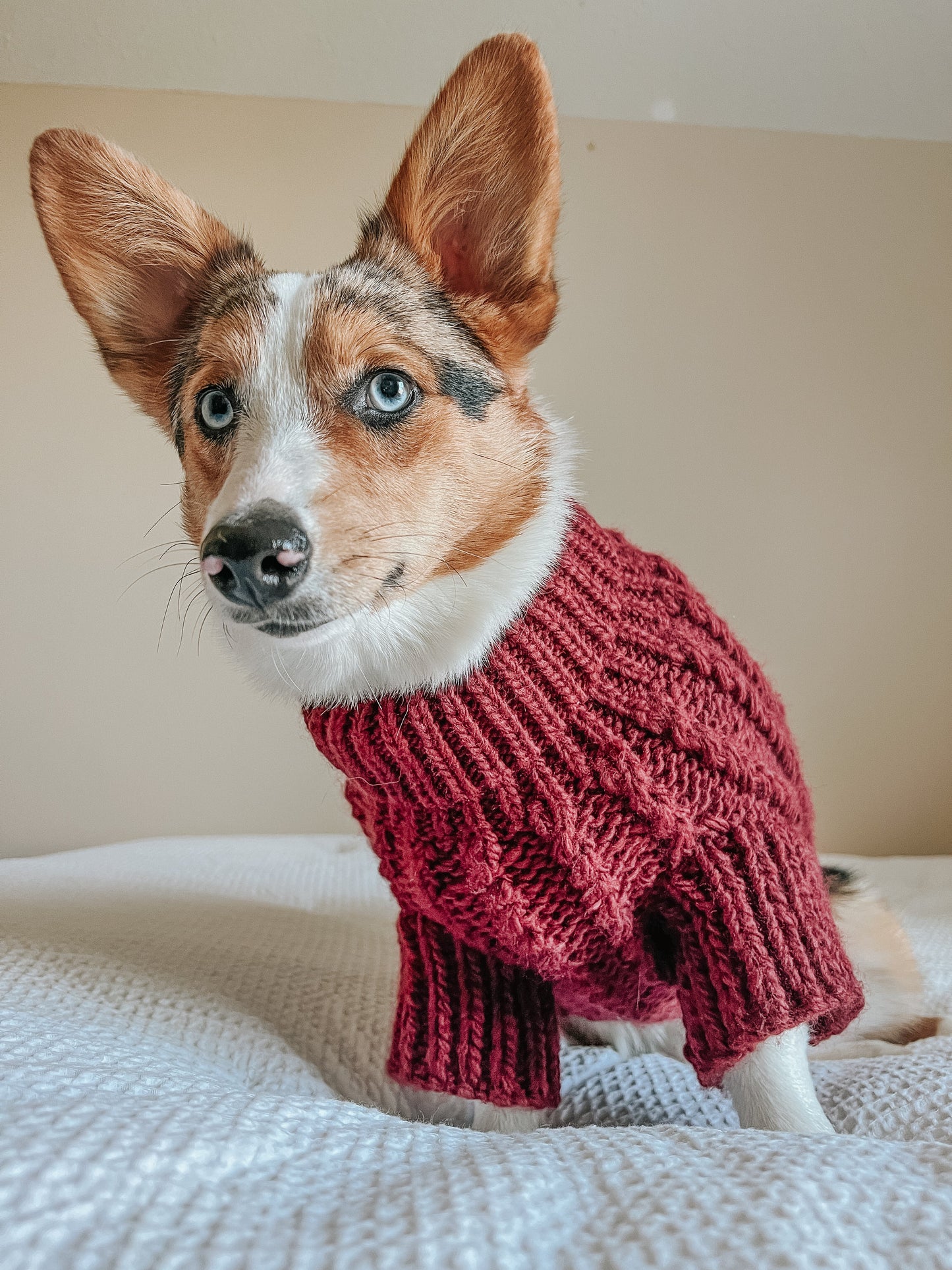 Pet Cable Knit Sweater - Red