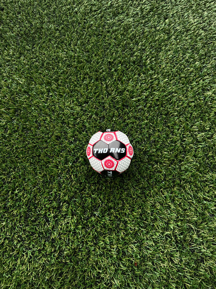 PORTLAND THORNS FC 2024 MINI BALL