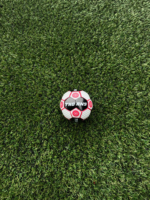 PORTLAND THORNS FC 2024 MINI BALL