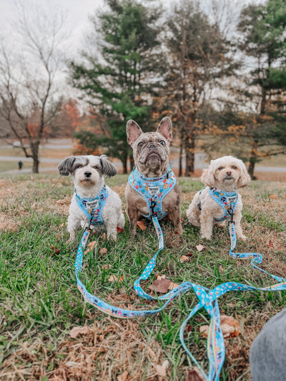 Dog Adjustable Harness - Hello Kitty® & Friends In the Sky