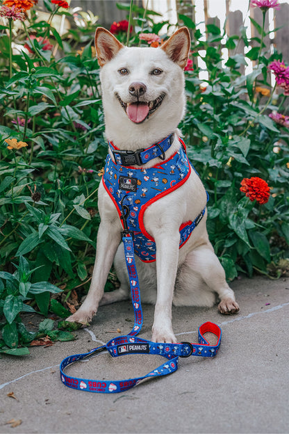Harness Three Piece Bundle - MLB™ x Peanuts™ Chicago Cubs™