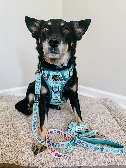 Dog Leash - Disney's Winnie the Pooh