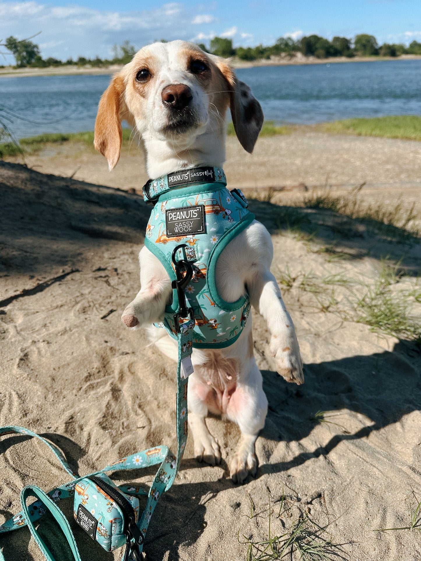 Dog Adjustable Harness - Peanuts™ Road Tripping