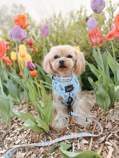 Dog Adjustable Harness - Disney and Pixar's Up