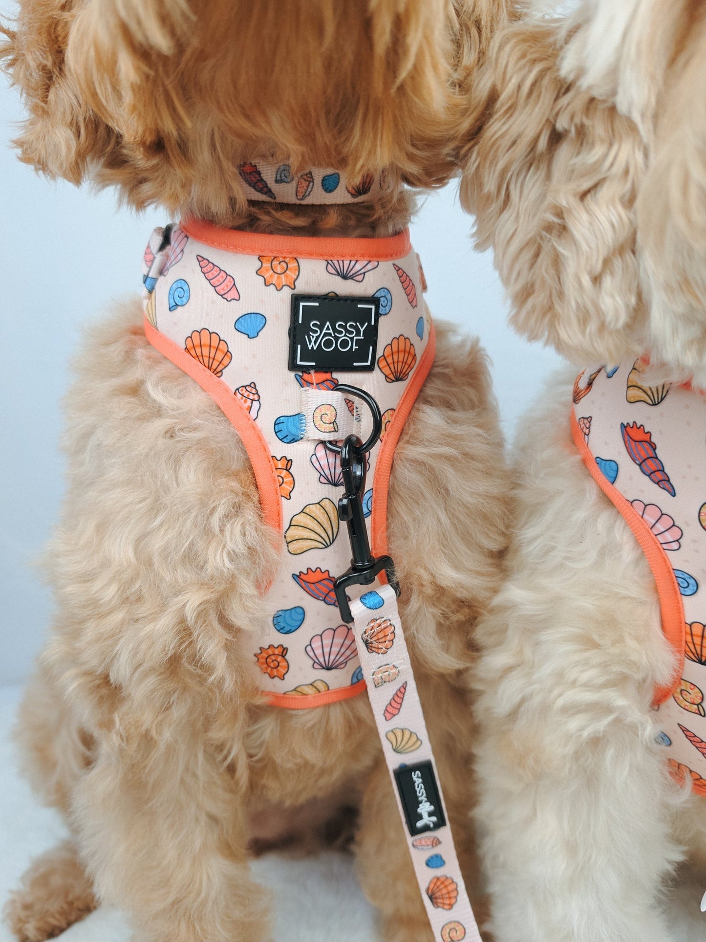 Dog Adjustable Harness - Shell Yeah