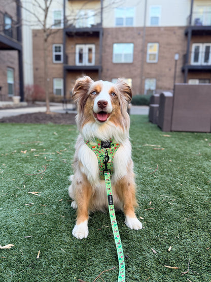 Dog Adjustable Harness - Disney's Tiana