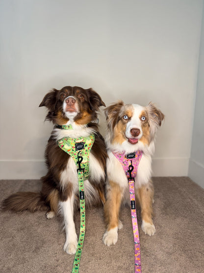 Dog Adjustable Harness - Disney's Tiana