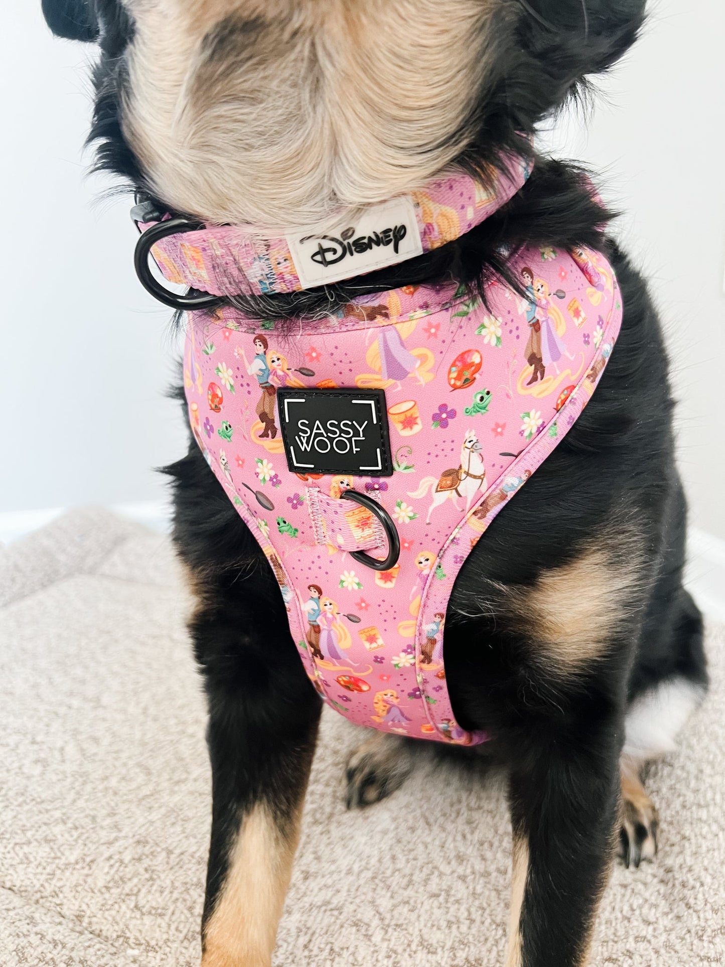 Dog Adjustable Harness - Disney's Rapunzel