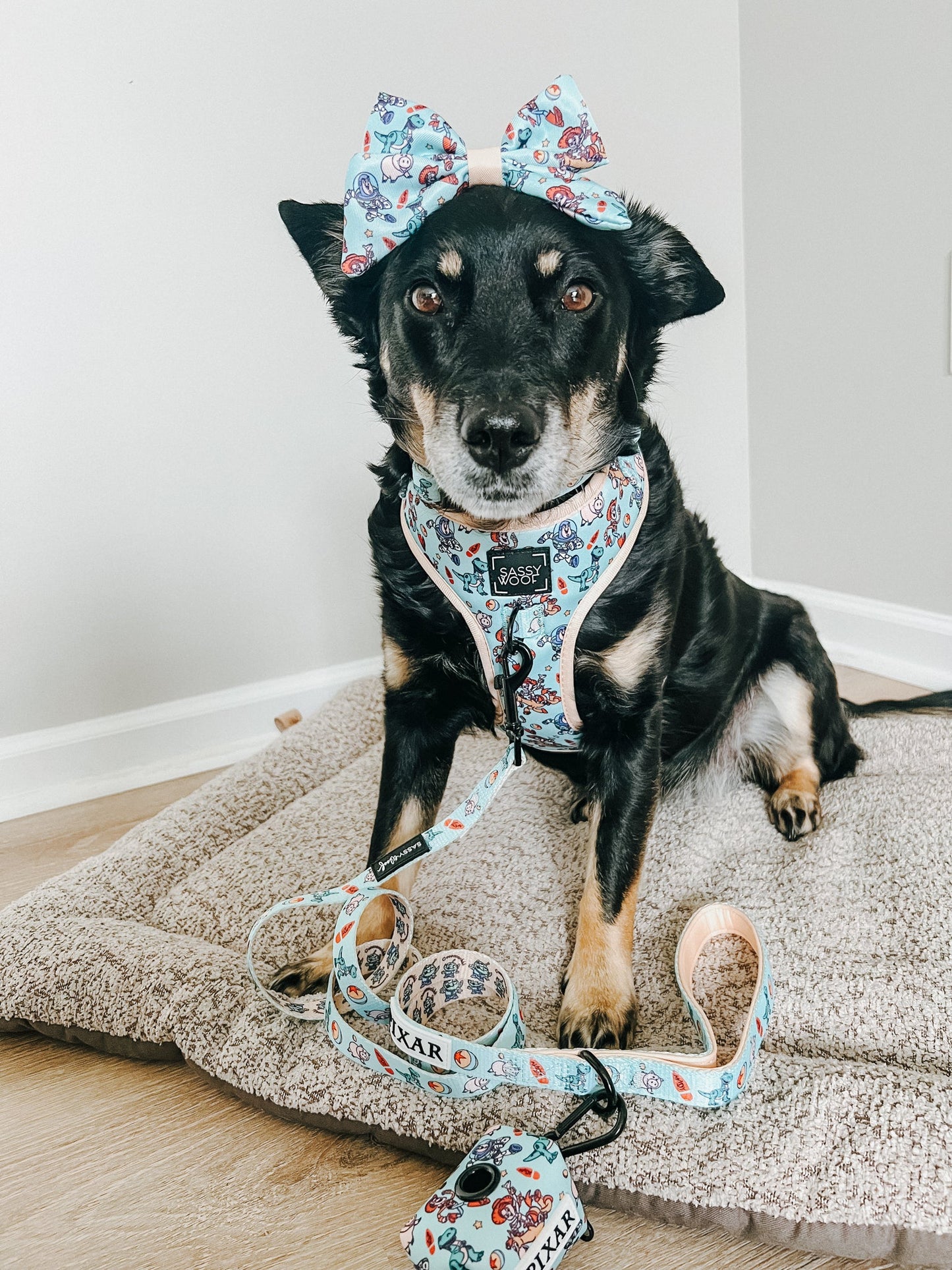 Dog Sailor Bow - Disney and Pixar's Toy Story