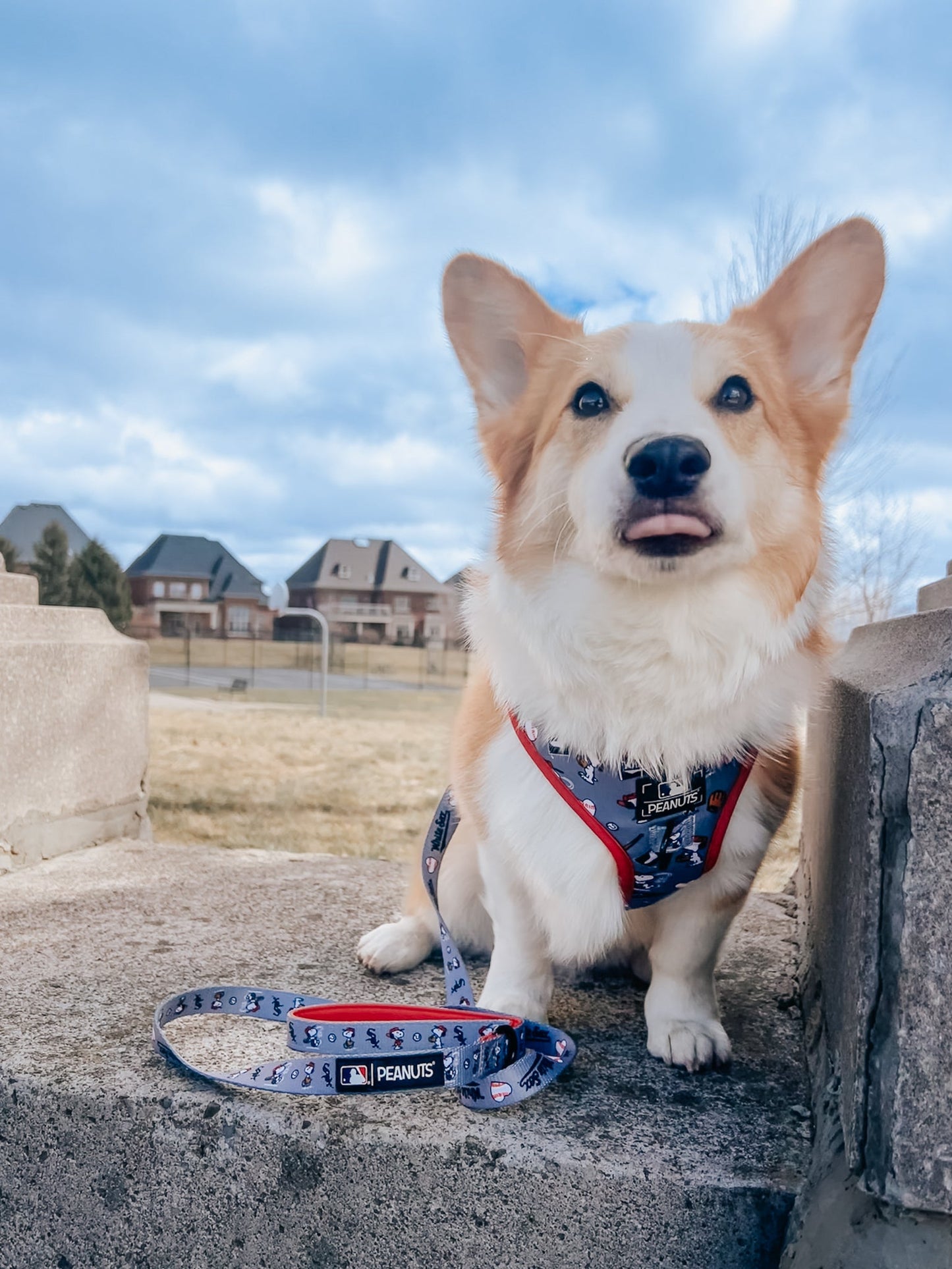 Dog Adjustable Harness - MLB™ x Peanuts™ Chicago White Sox™