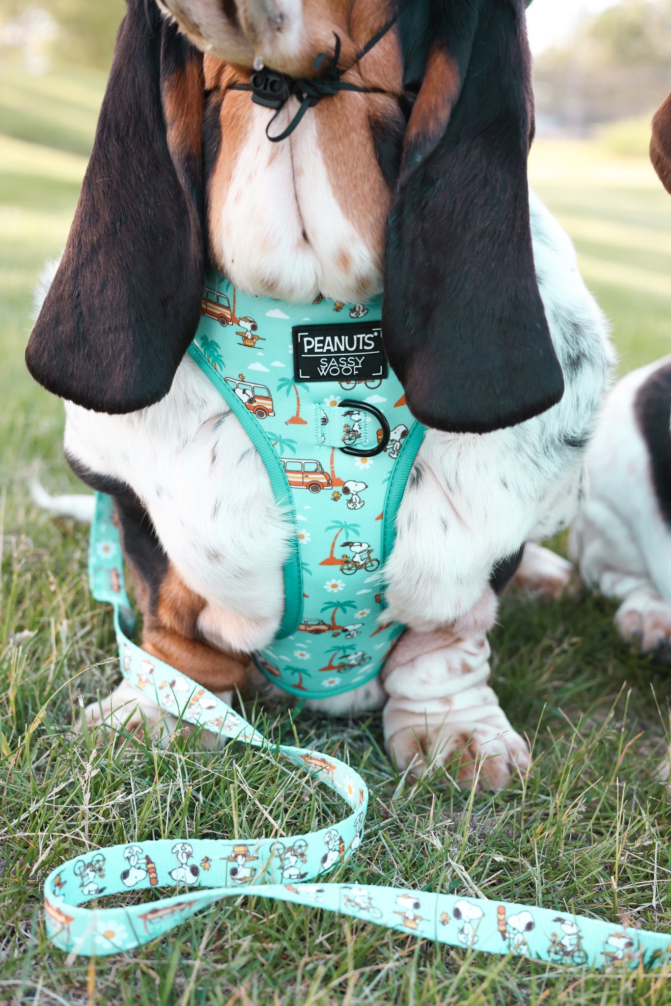 Dog Adjustable Harness - Peanuts™ Road Tripping